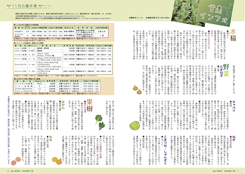 11月の農作業